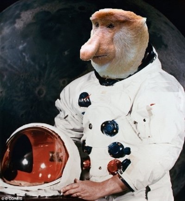 Co ma wspólnego lądowanie na Księżycu z nowym passatem sąsiada, czyli wielkie teorie&nbsp;spiskowe