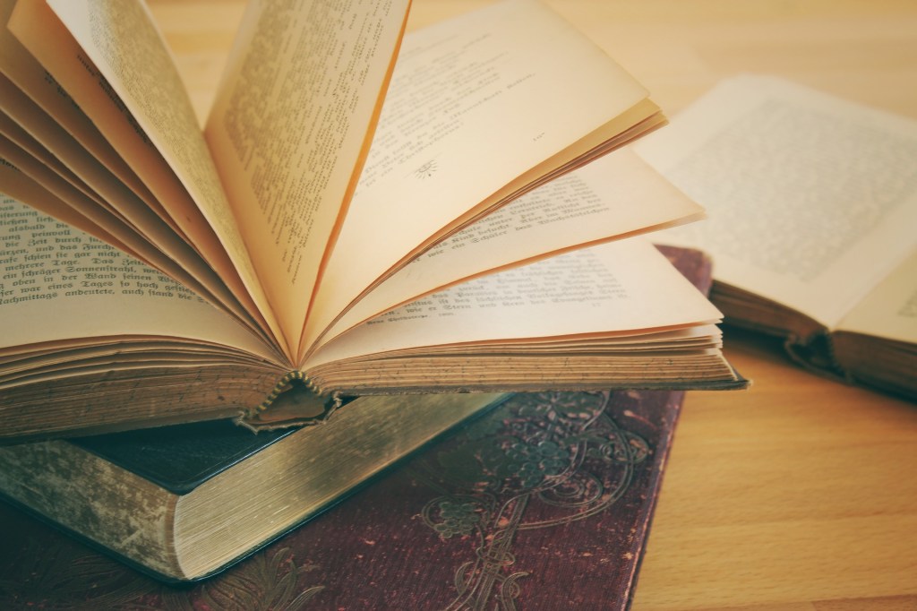 „Nic nie jest takie, jakim się wydaje” – recenzja książki „Oczyszczenie” Sofi&nbsp;Oksanen