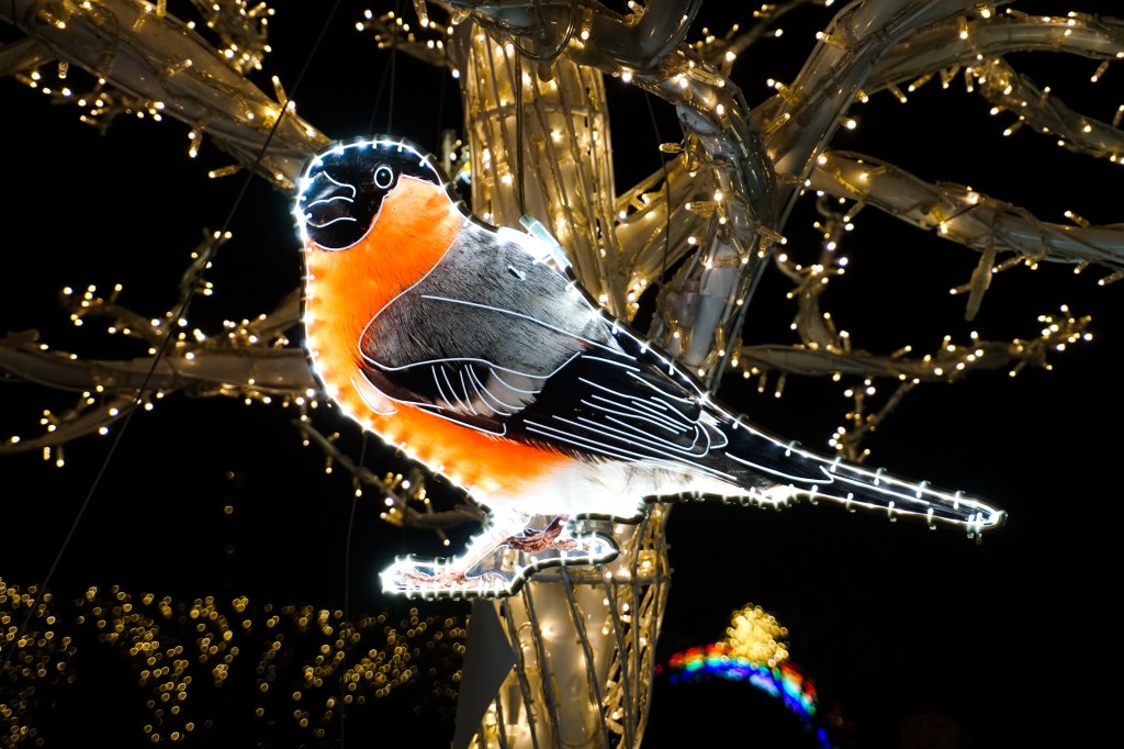 W świecie czterech żywiołów – Magiczny Botaniczny już&nbsp;otwarty!