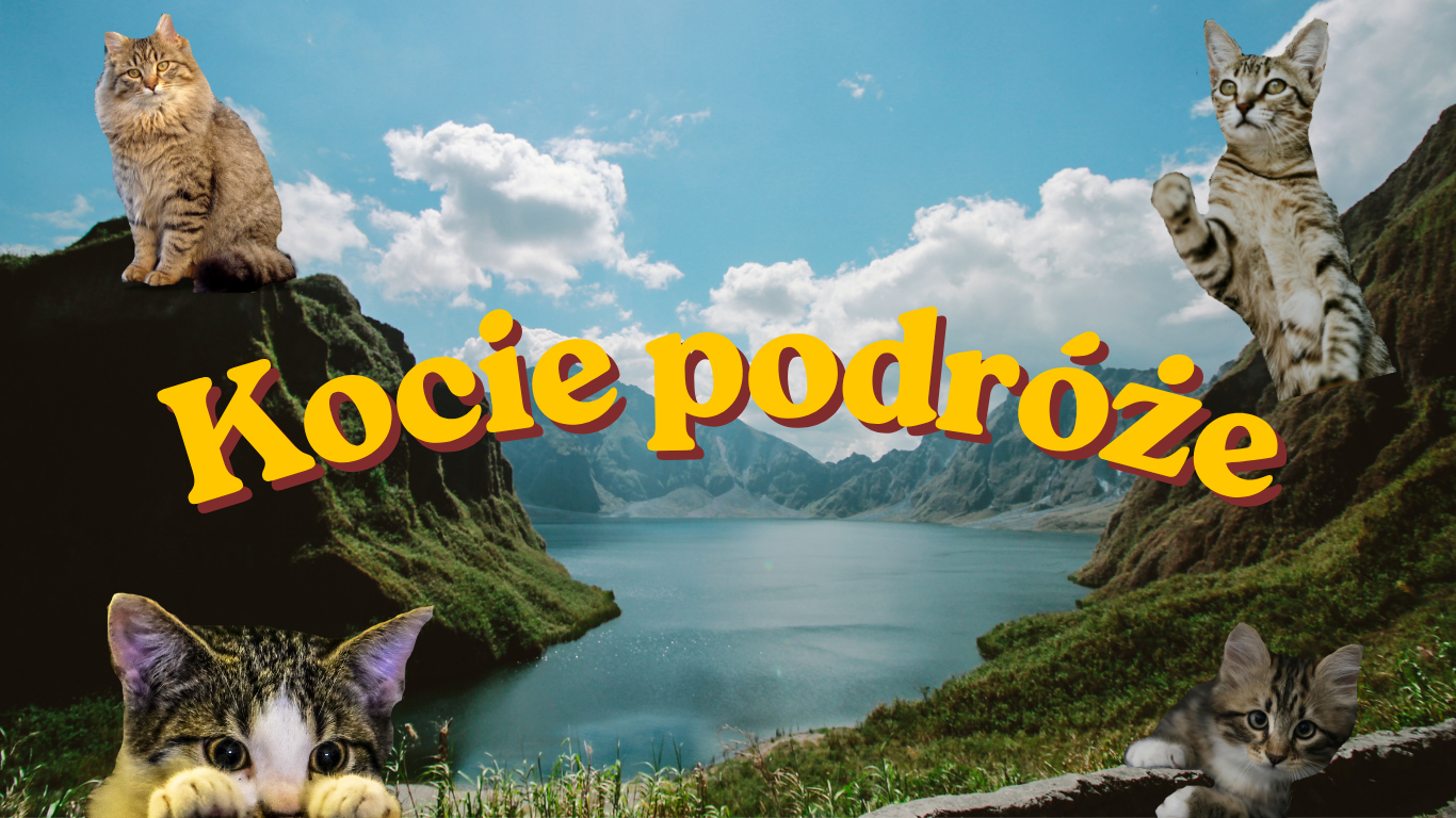 Kocie podróże: 5 miast, które pokocha każdy kociarz!
