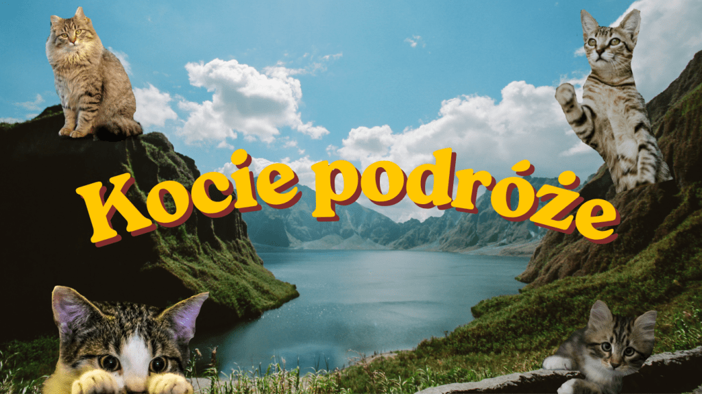 Kocie podróże: 5 miast, które pokocha każdy&nbsp;kociarz!